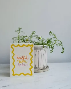 Studio Y Creative Cards><noscript><img width=