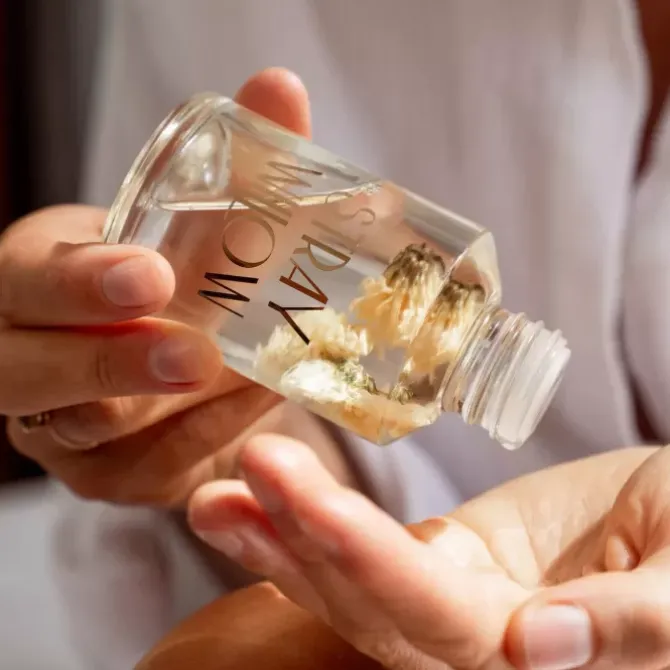 Stray Willow Skincare>Body & Bath Oil - Woodlands