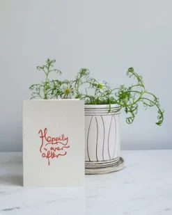 Studio Y Creative Cards><noscript><img width=