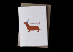 Hello Petal Cards>Hooray! Plantable Card