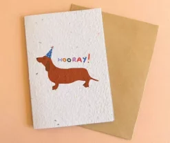 Hello Petal Cards>Hooray! Plantable Card