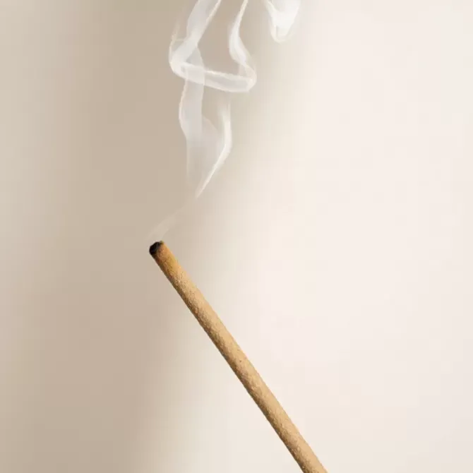 Stray Willow Candles & Incense|Homewares>Incense - Sweet Muse