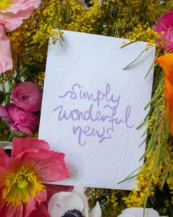 Studio Y Creative Cards><noscript><img width=